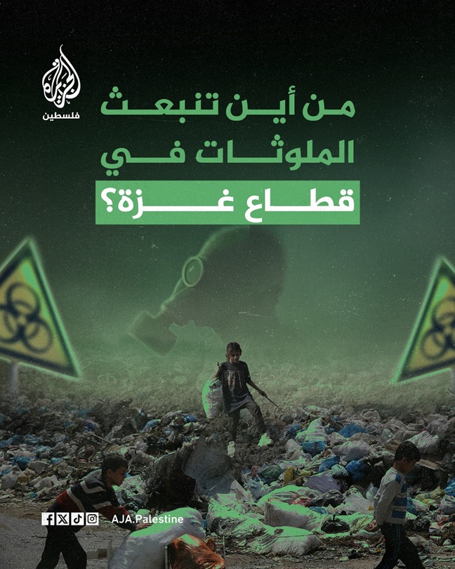 ���� ���� ������ �� ���� ������