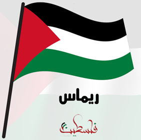 ���� ���� ������ �� ���� ������