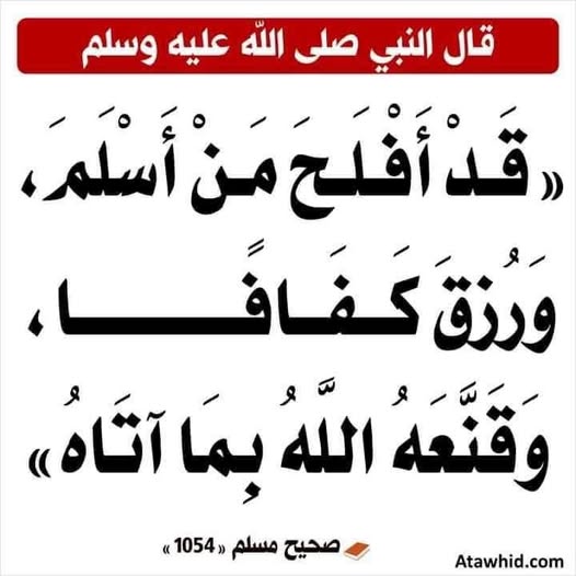 ���� ���� ������ �� ���� ������