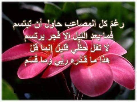 ���� ���� ������ �� ���� ������