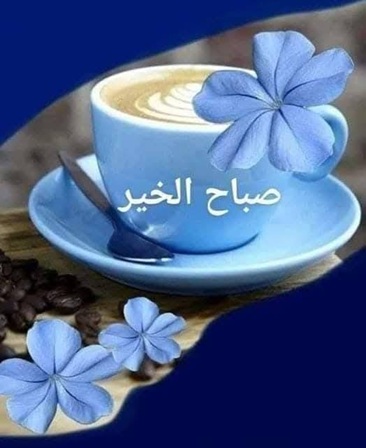 ���� ���� ������ �� ���� ������