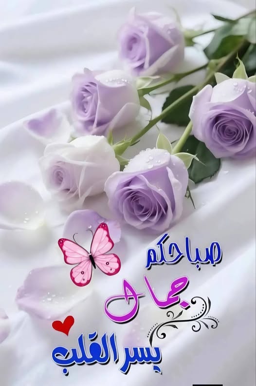 ���� ���� ������ �� ���� ������