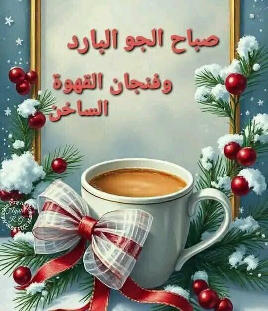 ���� ���� ������ �� ���� ������