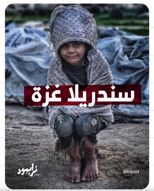 ���� ���� ������ �� ���� ������