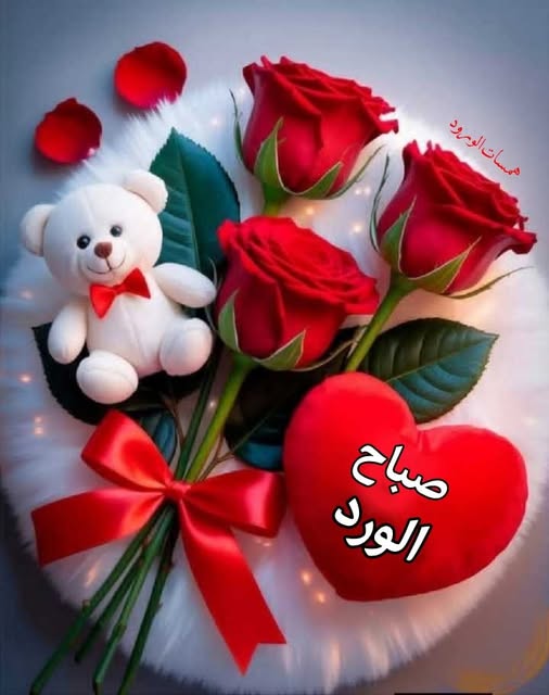 ���� ���� ������ �� ���� ������