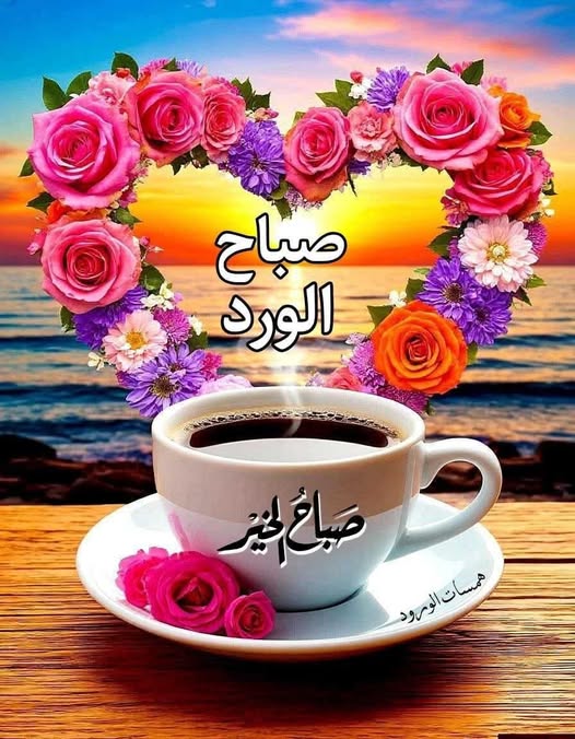 ���� ���� ������ �� ���� ������