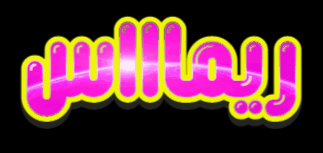 ���� ���� ������ �� ���� ������